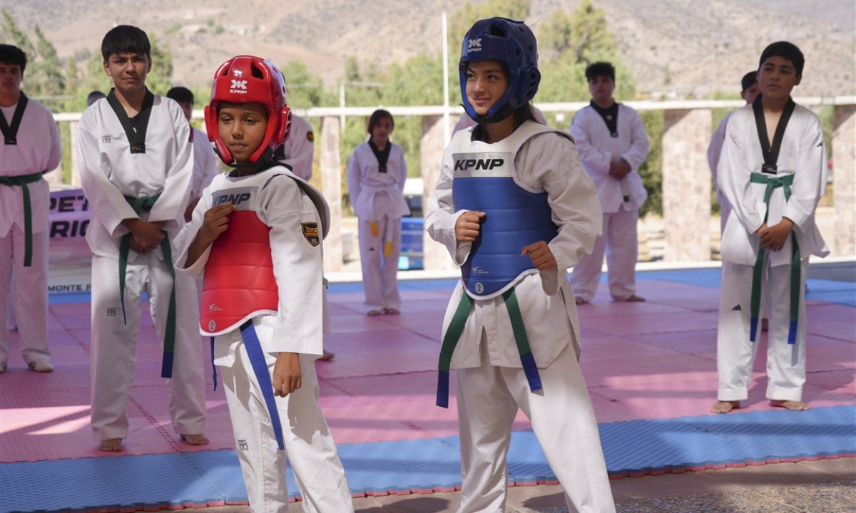 cierre-de-proyecto-taekwondo-pecheras-electronicas25-medium