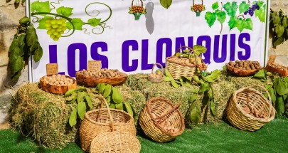fiesta-de-la-nuez-los-clonquis-2-medium